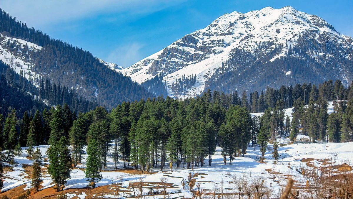 Rattan Lal | Only NC can protect jobs, land rights of J&K residents